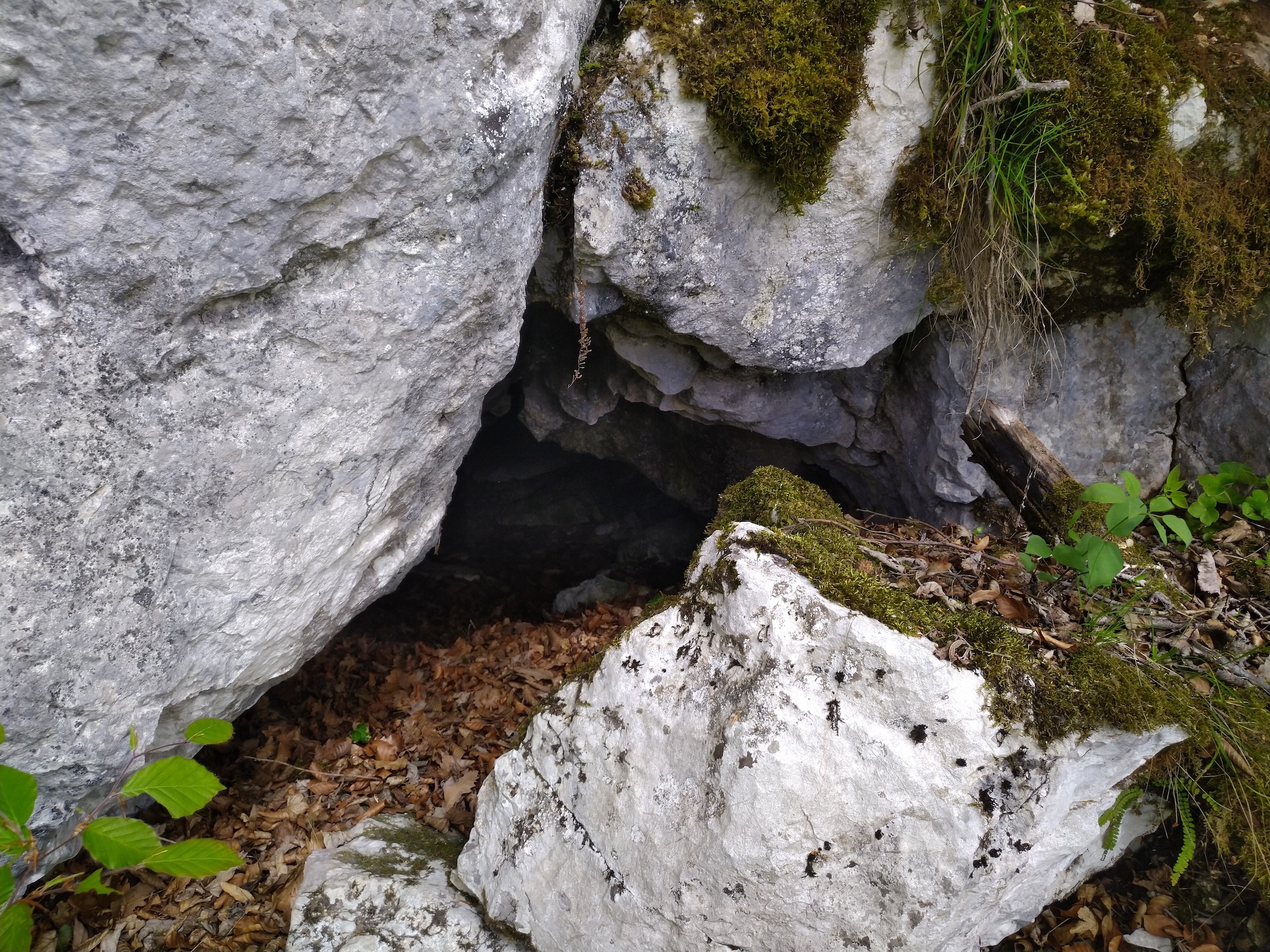 Peştera nr. 4 din Naveşul Mare - Image 2